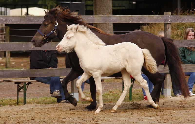 Enya von Heidmoor.jpg